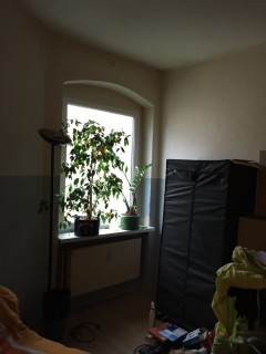 Appartement à Berlin-Neukölln